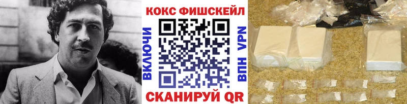 COCAIN Fish Scale  Купить где  Александров 