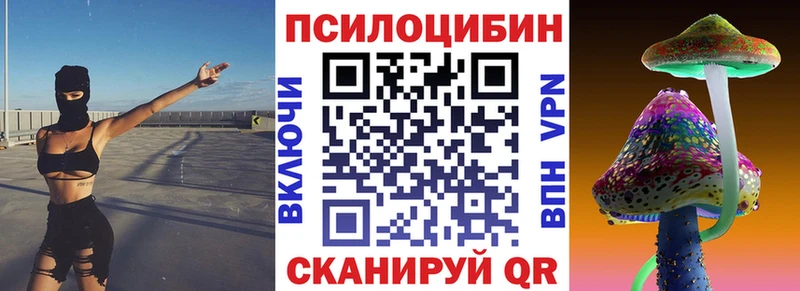 Купить  Александров  Галлюциногенные грибы Magic Shrooms 